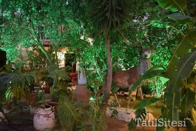 Hotel İstanköy Bodrum